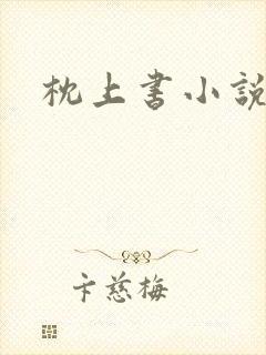枕上书小说
