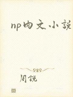 np肉文小说