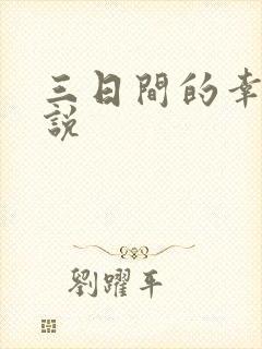 三日间的幸福小说封面