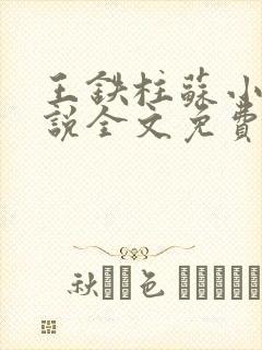 王铁柱苏小汐小说全文免费阅读最新章节封面