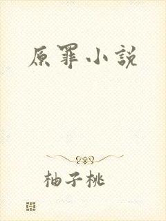 原罪小说