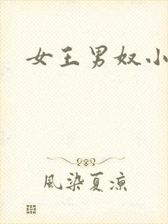 女王男奴小说