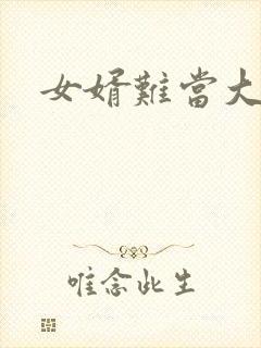 女婿难当大结局封面