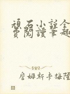 顽石小说全文免费阅读笔趣阁