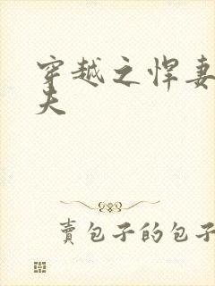 穿越之悍妻共三夫封面