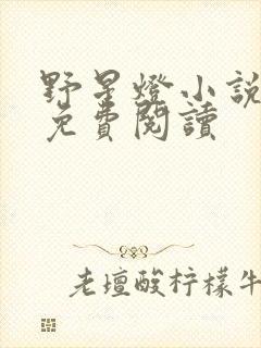 野星灯小说全文免费阅读