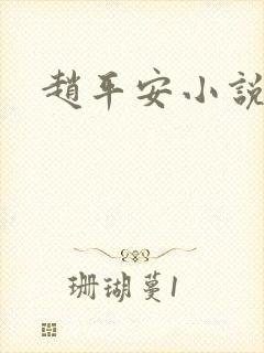 赵平安小说主角