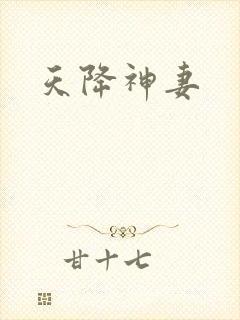天降神妻