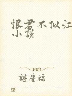 恨君不似江楼月小说