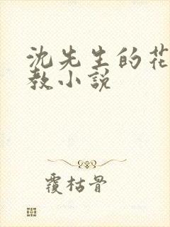 沈先生的花式调教小说