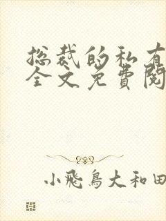总裁的私有宝贝全文免费阅读