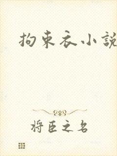 拘束衣小说封面