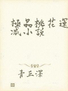 极品桃花运未删减小说