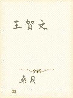 王贺文