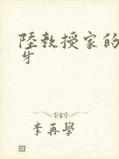 陆教授家的小月牙