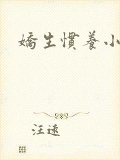 娇生惯养小说