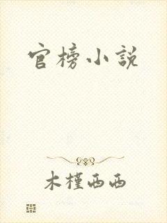 官榜小说封面