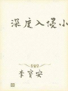 深度入侵小说