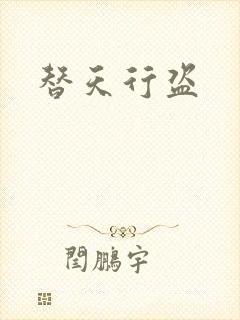 替天行盗