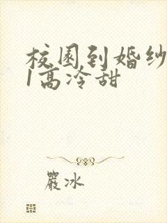 校园到婚纱1V1高冷甜封面