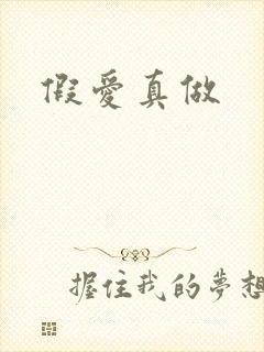 假爱真做