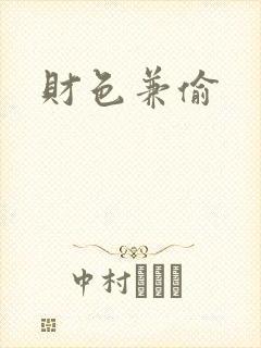财色兼偷封面