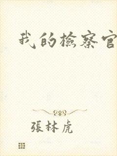 我的检察官先生