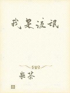 我是流氓封面