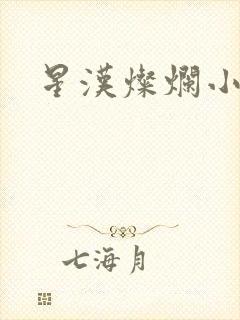星汉灿烂小说