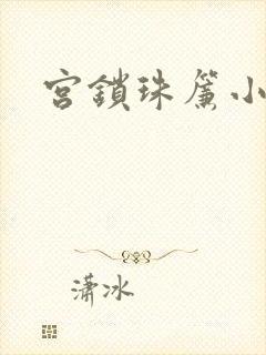宫锁珠帘小说