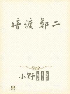 暗渡 郑二封面
