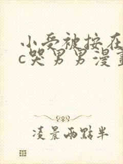小受被按在墙上c哭男男漫画封面