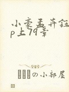 小豪孟卉钰慧三p上79章封面