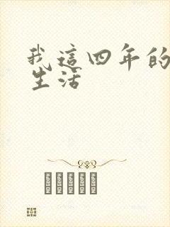 我这四年的奴隶生活封面