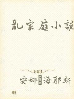 乱家庭小说