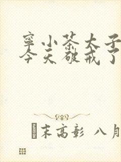 宁小茶太子殿下今天破戒了吗免费阅读