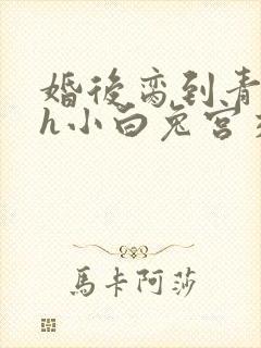婚后脔到青梅哭h小白兔宫交h