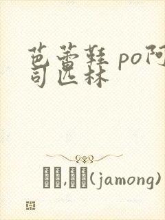 芭蕾鞋 po阿司匹林封面