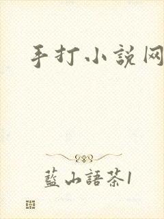 手打小说网