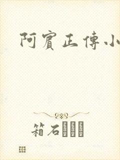 阿宾正传小说