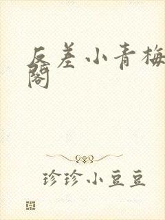 反差小青梅笔趣阁
