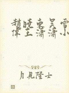 赵晓东吴雪晴郑伟王潇潇小说