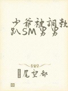 少爷被调教室跪趴SM男男