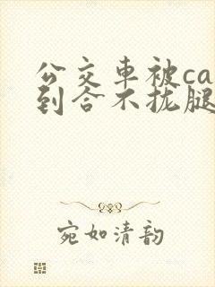 公交车被cao到合不拢腿视频