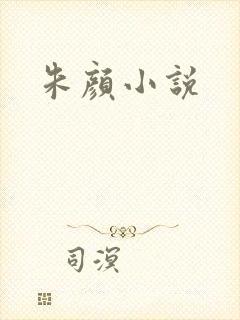 朱颜小说