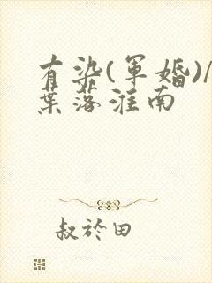 有染(军婚)/叶落淮南封面