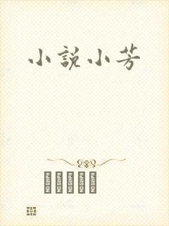 小说小芳