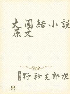 大团结小说阅读原文