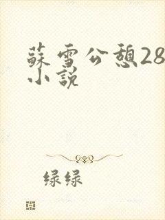 苏雪公憩28篇小说封面