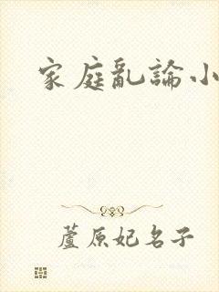 家庭乱论小说